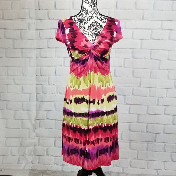 Lily size small short sleeve stretch knit dress - Picture 1 of 8